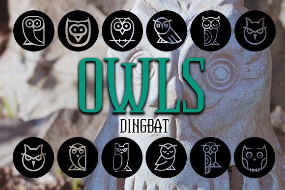 Owls Font: A Cute Dingbat for Web Design